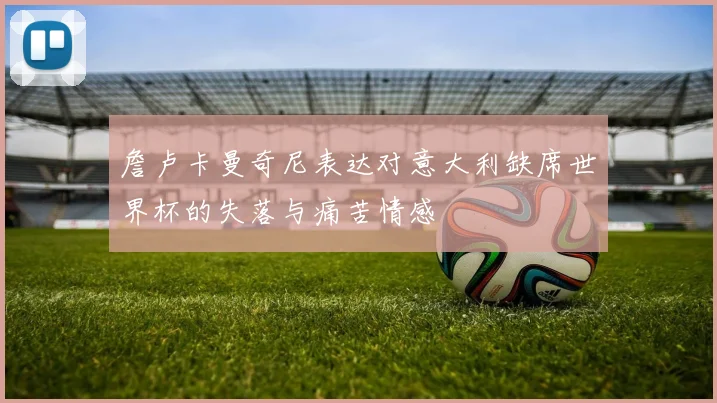 詹卢卡曼奇尼表达对意大利缺席世界杯的失落与痛苦情感