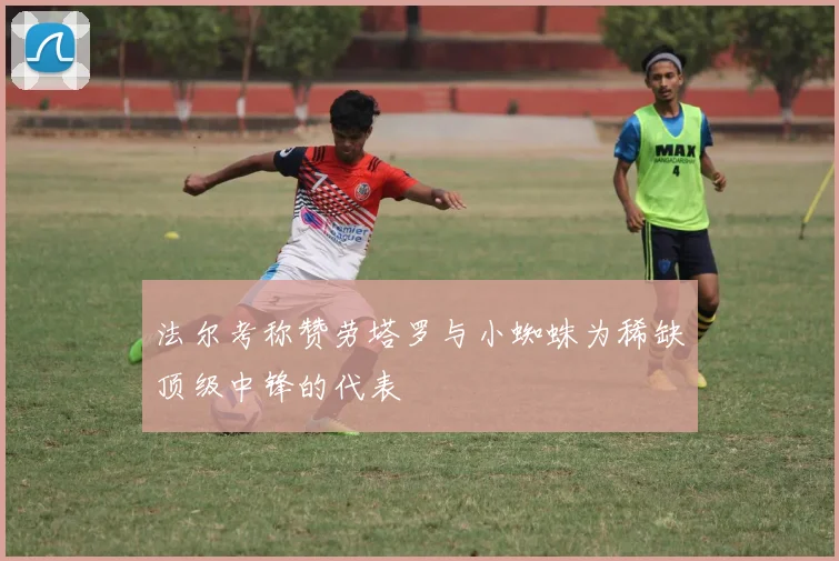 法尔考称赞劳塔罗与小蜘蛛为稀缺顶级中锋的代表